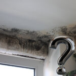 Severe black mould on ceiling above window raising housing responsibility concerns