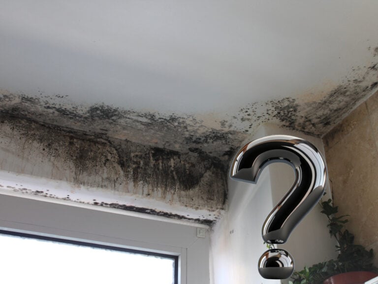 Severe black mould on ceiling above window raising housing responsibility concerns