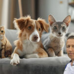 Pets sitting on a couch