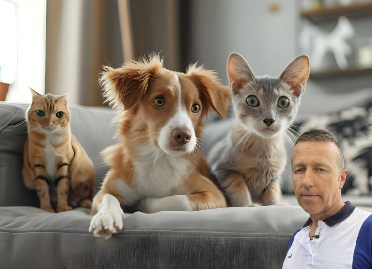 Pets sitting on a couch