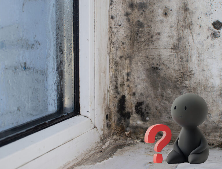 Mould on window frame with figure and question mark symbolising landlord concerns.