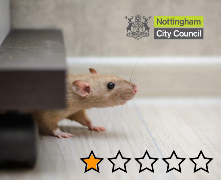 A mouse in a house, 1 star out of 5 and Nottingham City Council logo