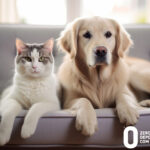 A dog and a cat sitting on the sofa, 0&.com logo