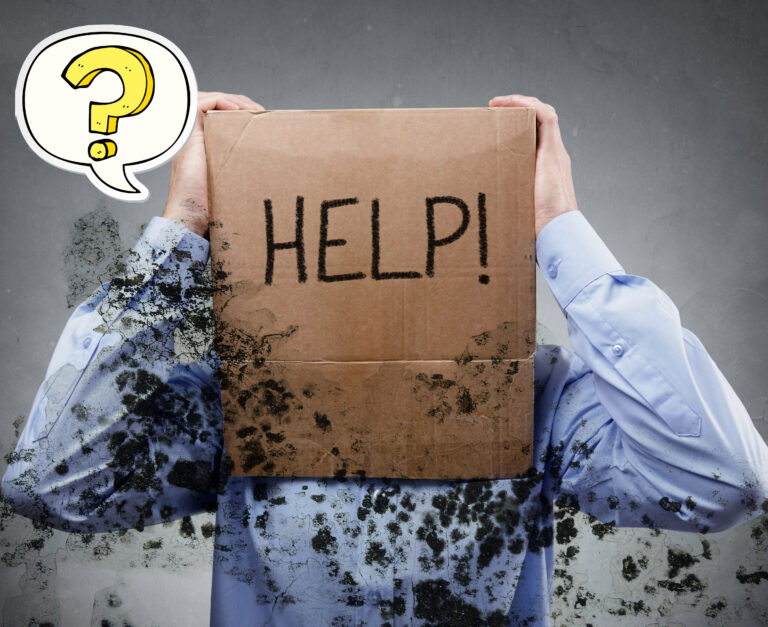 A person with brown paper bag on their head with the word Help, mould surrounding the person and a question mark sign