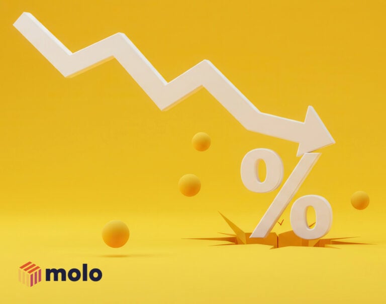 Molo logo, an arrow going down and a percentage sign on a yellow background