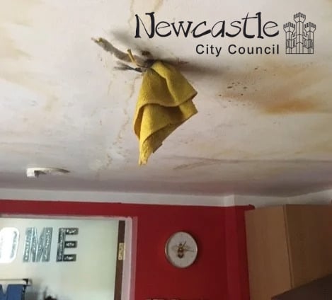 Council takes over landlord's 'disgusting' properties in licensing crackdown