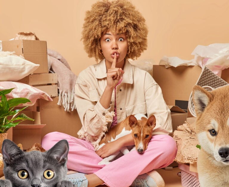 A tenant surrounded by boxes and pets