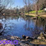 A lake and woodland area with people walking by