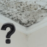 Damp and mould on a ceiling, black question mark