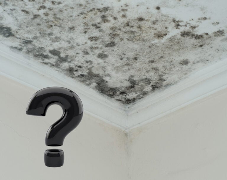 Damp and mould on a ceiling, black question mark