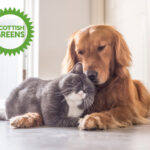 Scottish Green logo with a dog and cat on the floor