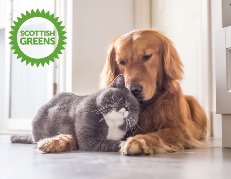 Scottish Green logo with a dog and cat on the floor