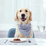 A dog sitting at a table with a napkin on waiting for his dinner with a glass of water