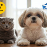 A dog and a cat alongside the Scottish flag and Dog trust logo