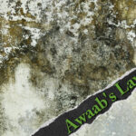 Damp and mould on a wall with green text reading 'Awaab's Law