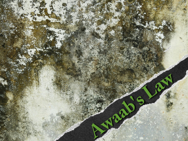 Damp and mould on a wall with green text reading 'Awaab's Law