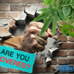 A hand breaking through a wall next to a cannabis plant, with text asking, "Are you covered?"