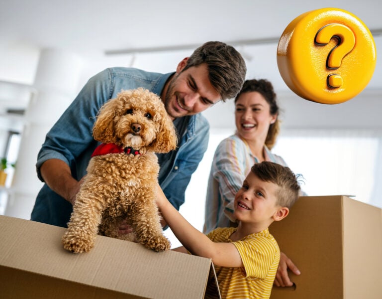 fanily with moving in boxes and a dog with a question mark