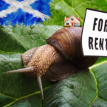 Snail on leaves with a house on its back and a for rent sign with a scottish flag colour behind it.