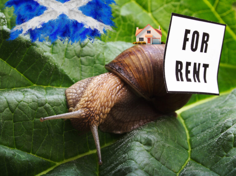 Snail on leaves with a house on its back and a for rent sign with a scottish flag colour behind it.
