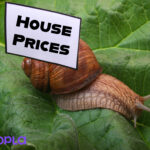 snail on a leaf with a house prices label on his back