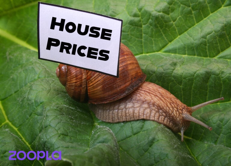 snail on a leaf with a house prices label on his back