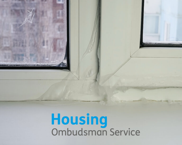 Damaged window frame with condensation and peeling paint highlighting poor housing maintenance