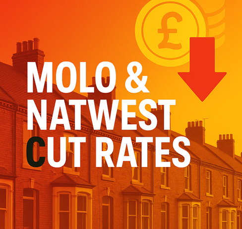 Molo and NatWest cut buy to let mortgage rates with bold campaign-style graphic.
