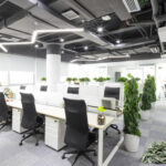 Modern open-plan office with bright lighting and greenery symbolizing growing property investments