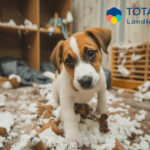 Puppy surrounded by torn items illustrating pet damage risk for landlords