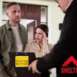 Shelter blames delayed Section 21 ban for thousands of evictions