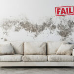 Mould-covered wall behind sofa highlighting housing standard failures