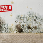 Damp and mould on a wall highlighting poor housing conditions