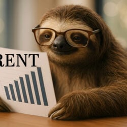 Rent growth slows as the PRS cools – Zoopla