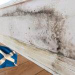 Black mould spreading on interior wall in Scottish social housing