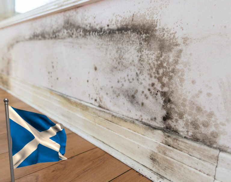 Black mould spreading on interior wall in Scottish social housing