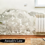 Damp and mould damage on an interior wall beside a radiator, highlighting poor housing conditions.