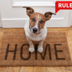 Dog sitting on a welcome mat with "HOME" written, symbolizing pet rental rights debate.