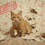 Mischievous cat amid torn wallpaper with “rejected” stamp, symbolising failure of pet deposit proposal