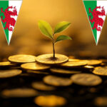 Welsh property investment growth symbolised by plant sprouting from coins.