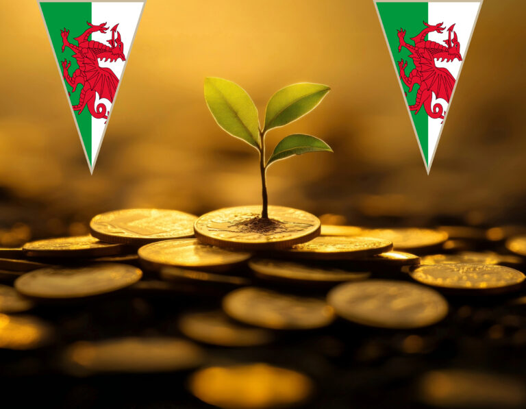 Welsh property investment growth symbolised by plant sprouting from coins.