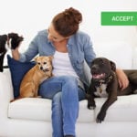 Woman sitting on a sofa with her dogs and a cat, highlighting pet-friendly renting rights