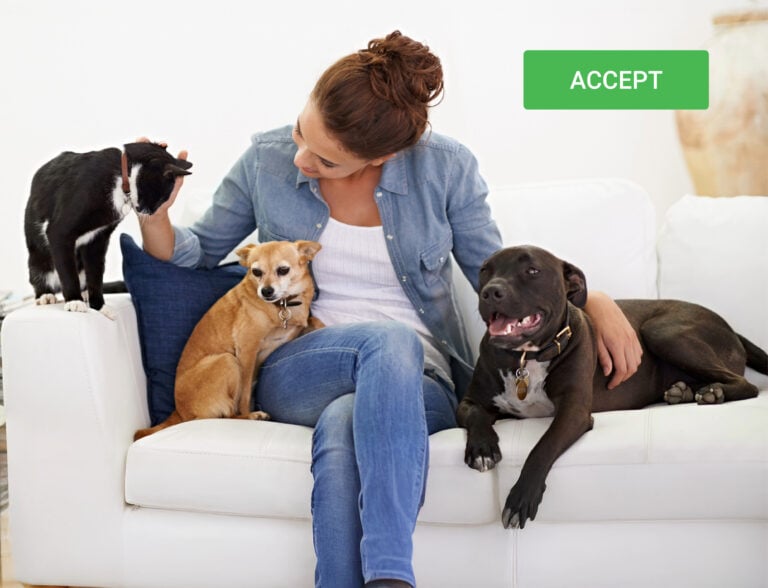 Woman sitting on a sofa with her dogs and a cat, highlighting pet-friendly renting rights