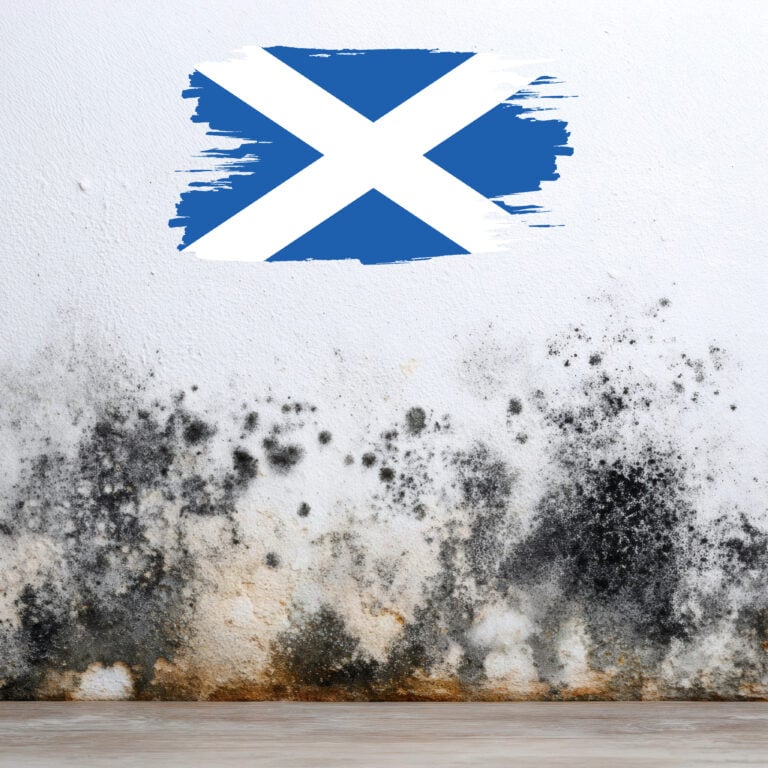 Damp and mould staining on a wall beneath a painted Scottish flag, symbolising housing standards issues in Scotland