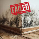 Black mould spreading along interior wall highlighting damp hazards in social housing