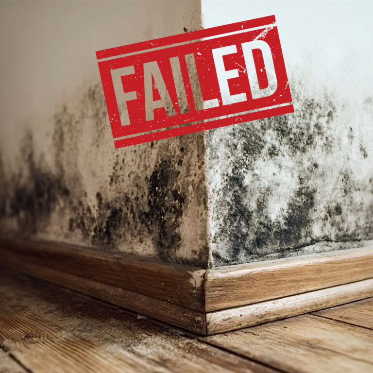 Black mould spreading along interior wall highlighting damp hazards in social housing