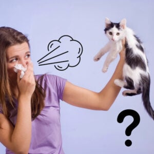 Woman holding a cat while sneezing into a tissue, illustrating landlord pet allergy concerns.