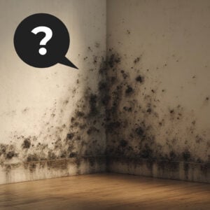 Black mould spreading across a damp bedroom wall corner above wooden flooring