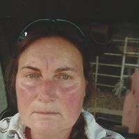 helena.ellis@btconnect.vom